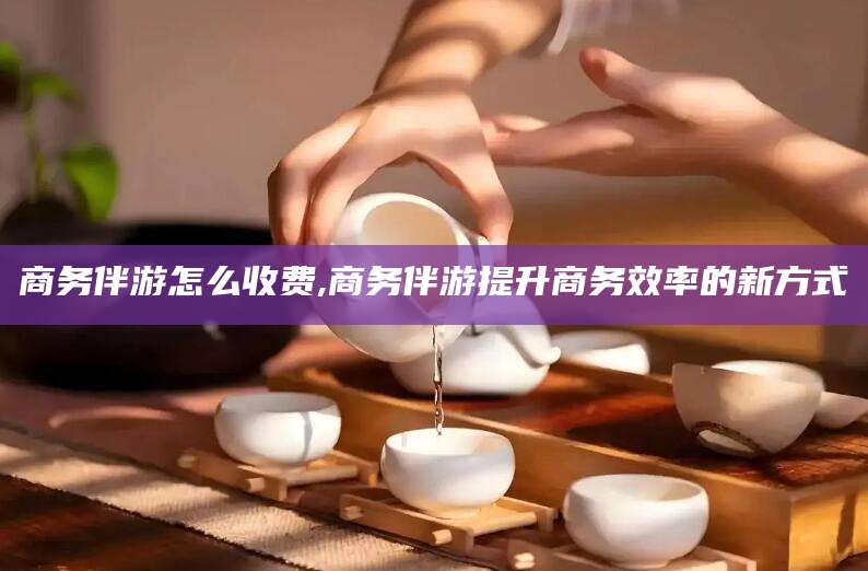 广安商务伴游怎么收费,商务伴游提升商务效率的新方式